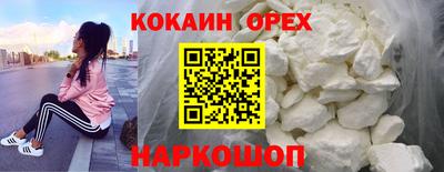 apvp Бердск
