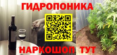 apvp Бердск