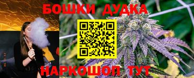 apvp Бердск