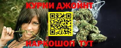 apvp Бердск